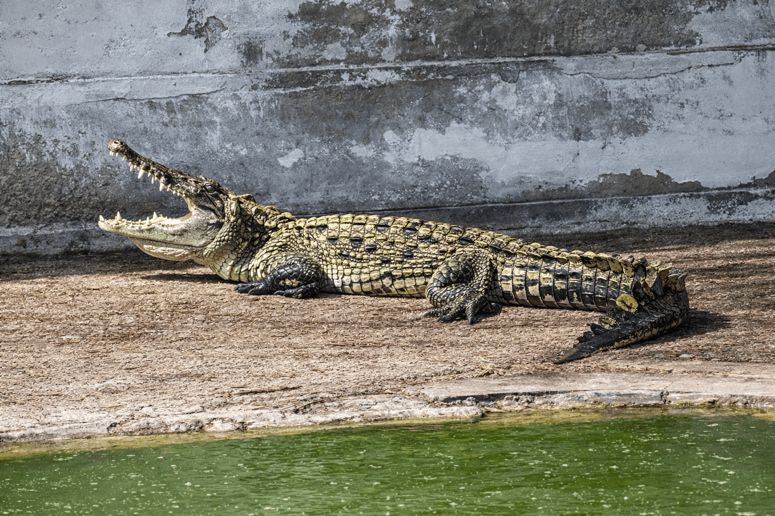 Puerto Pizarro completo - imagen 5