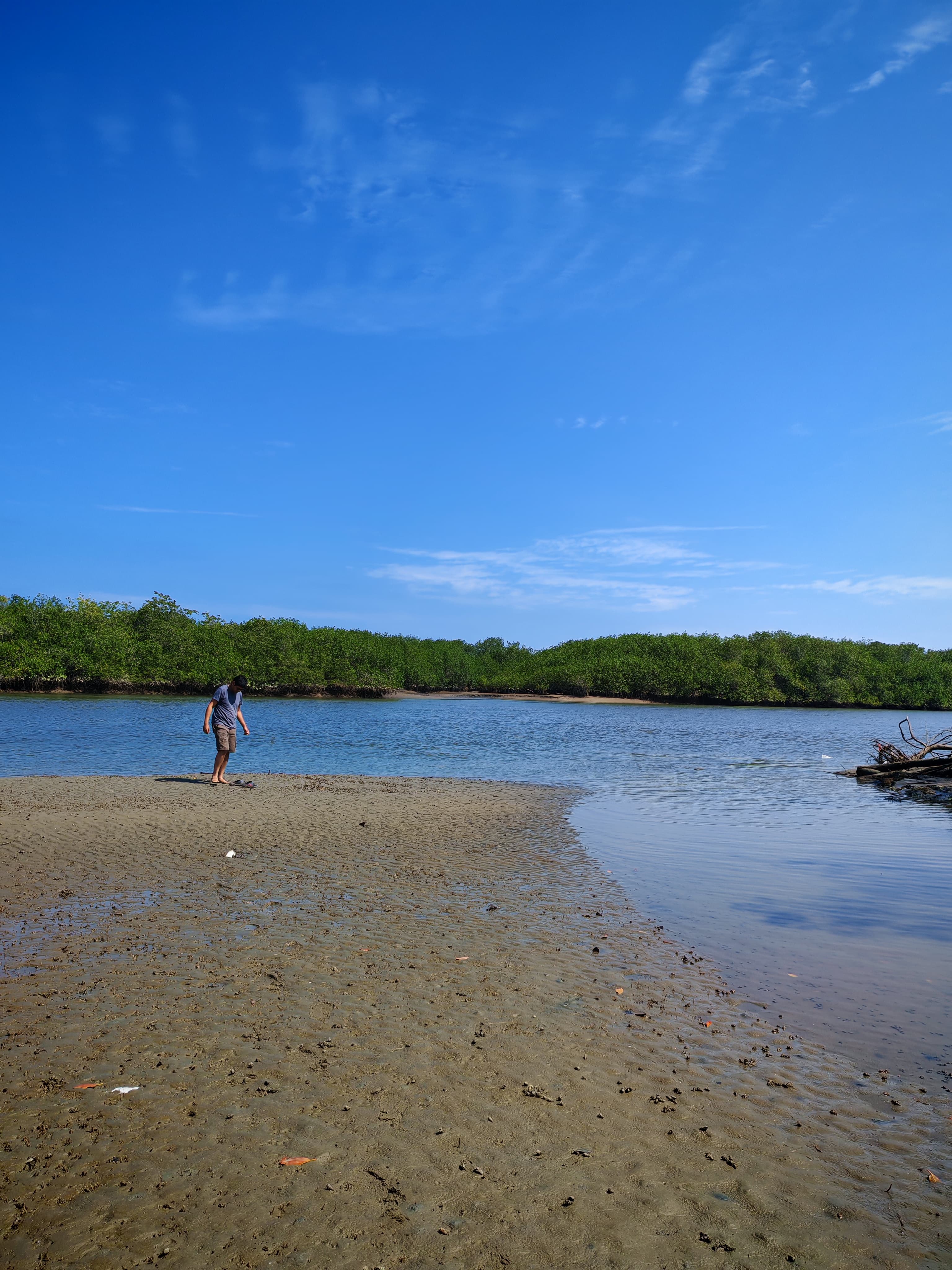 Paseo turistico por islas y manglares de Puerto Pizarro