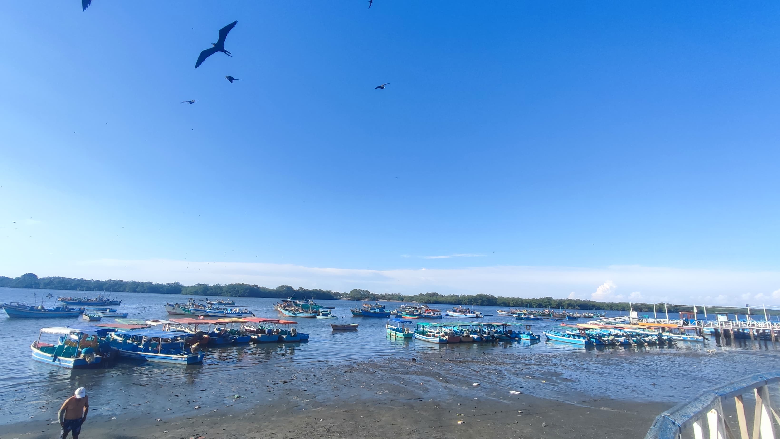 Puerto Pizarro con AvisTours - imagen 3