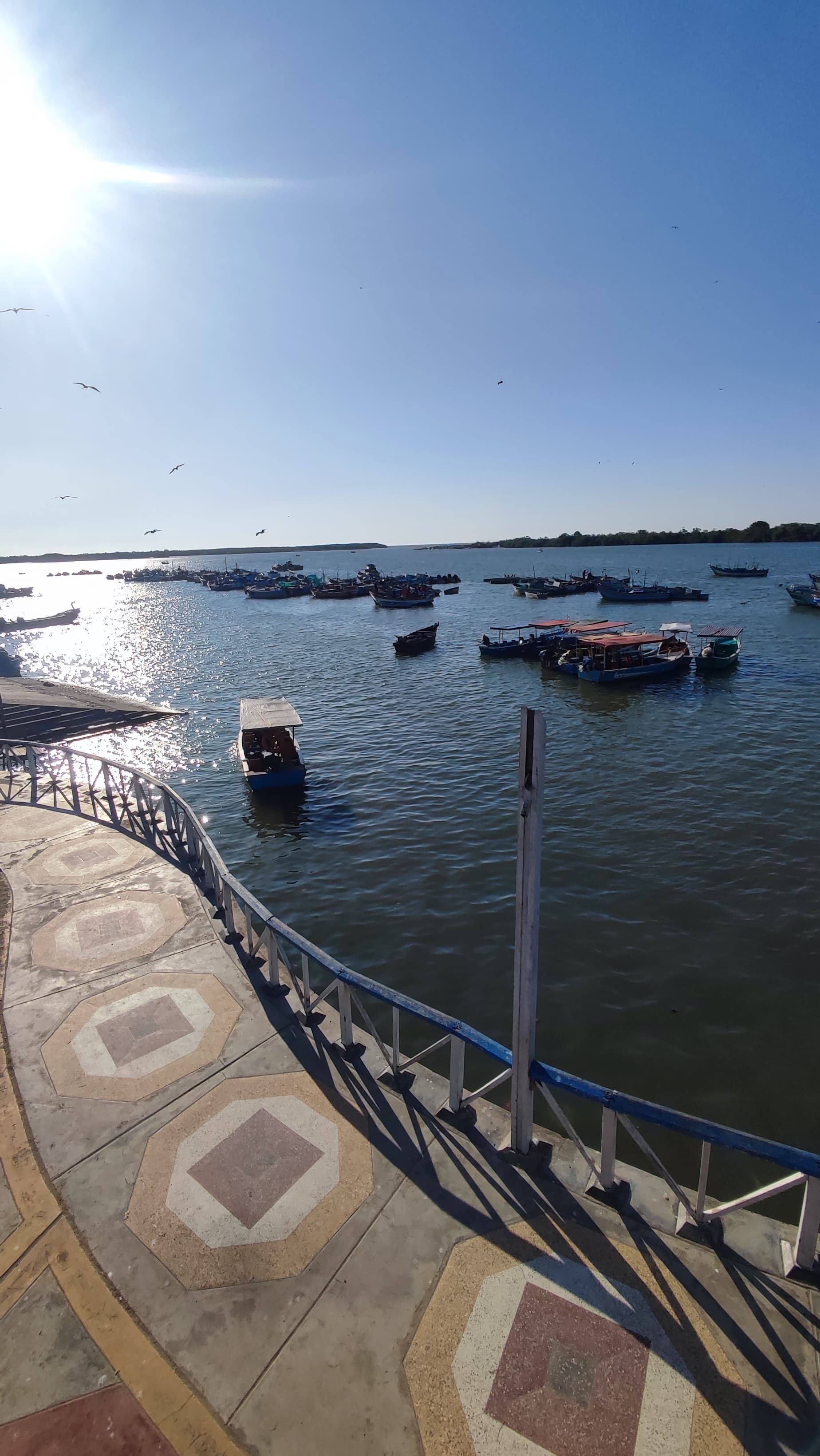 Puerto Pizarro con AvisTours - imagen 4