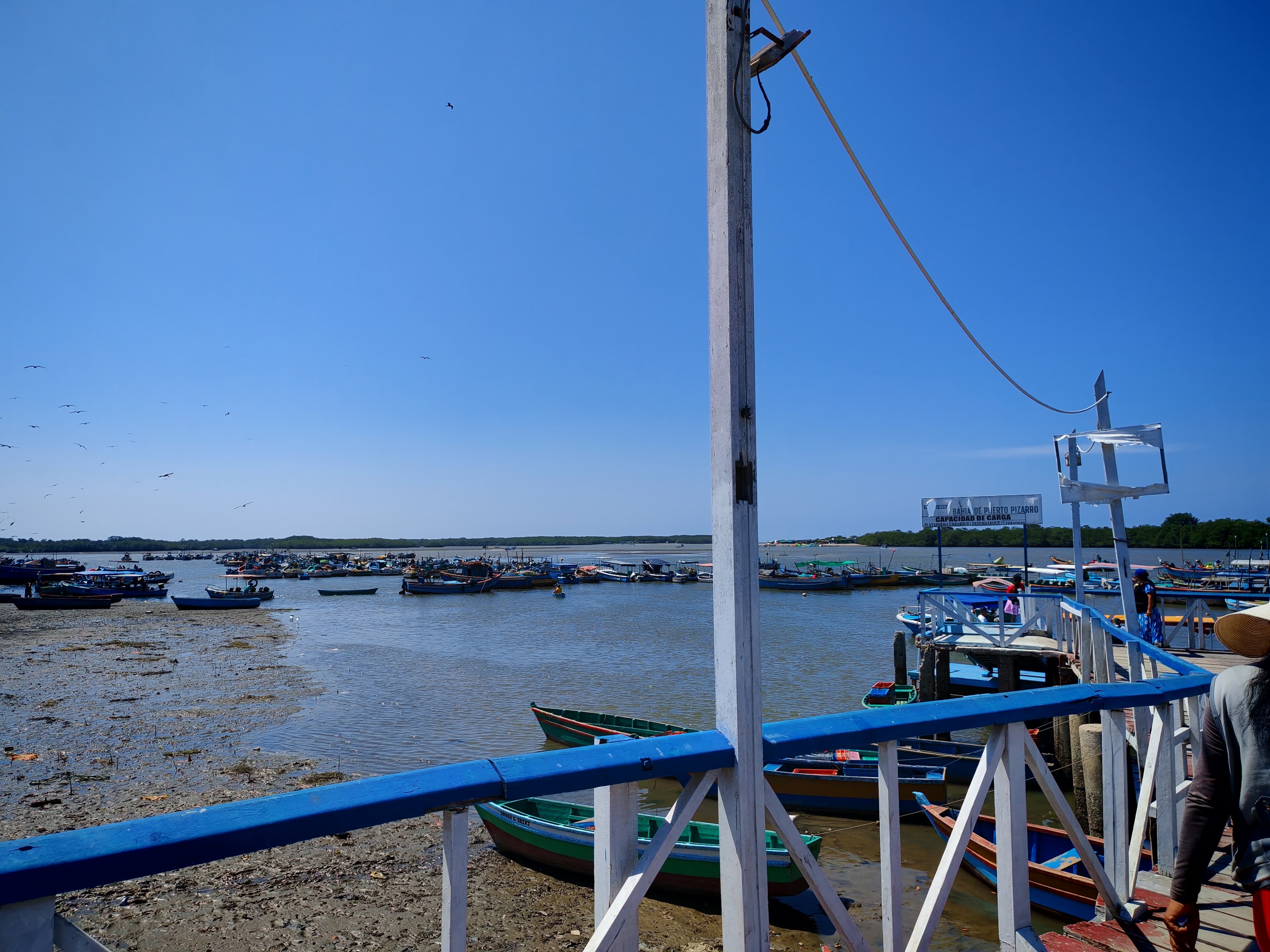 Canales de manglar en Puerto Pizarro durante una salida en bote