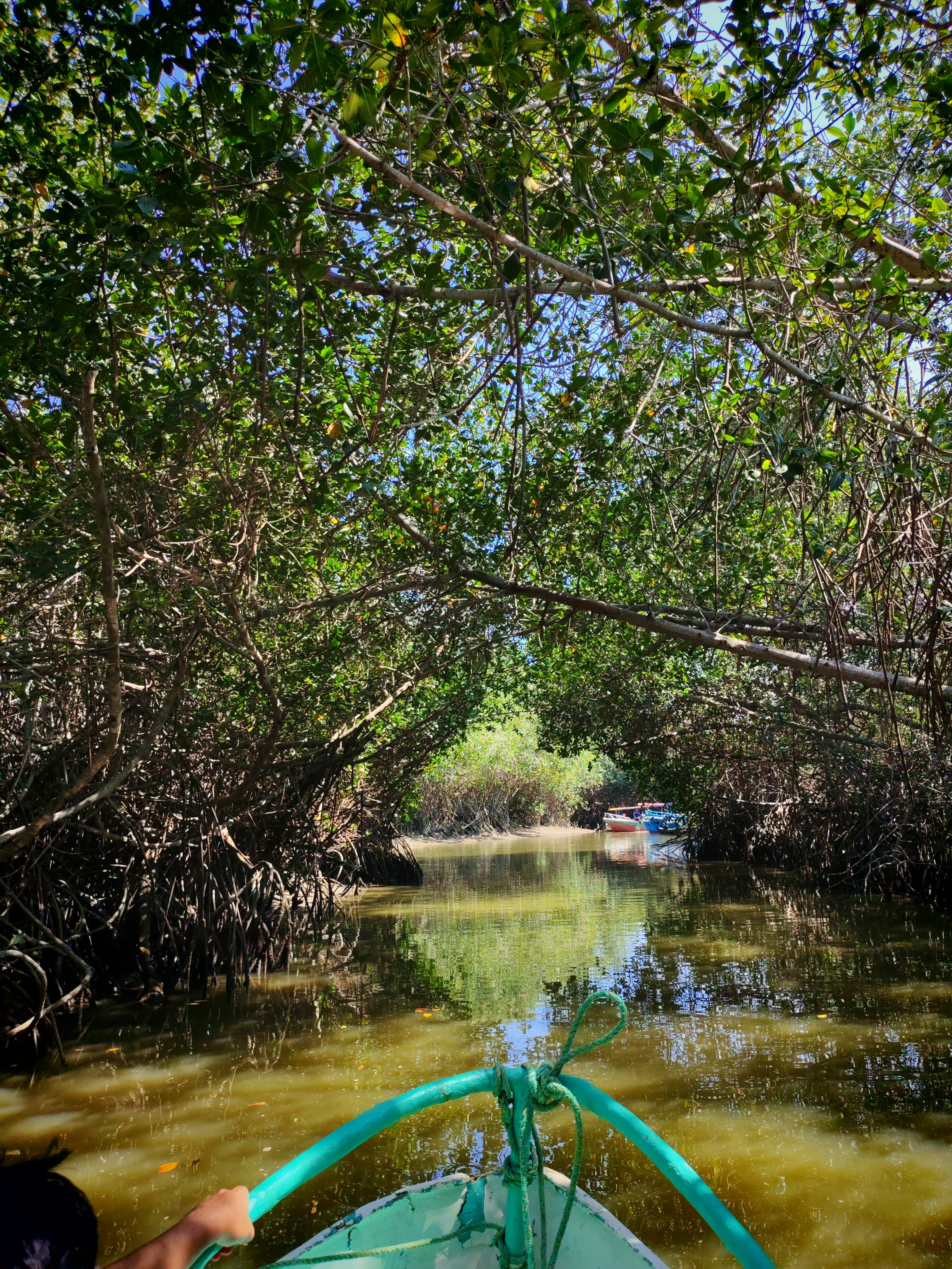 Islas, manglares y cocodrilos - imagen 2