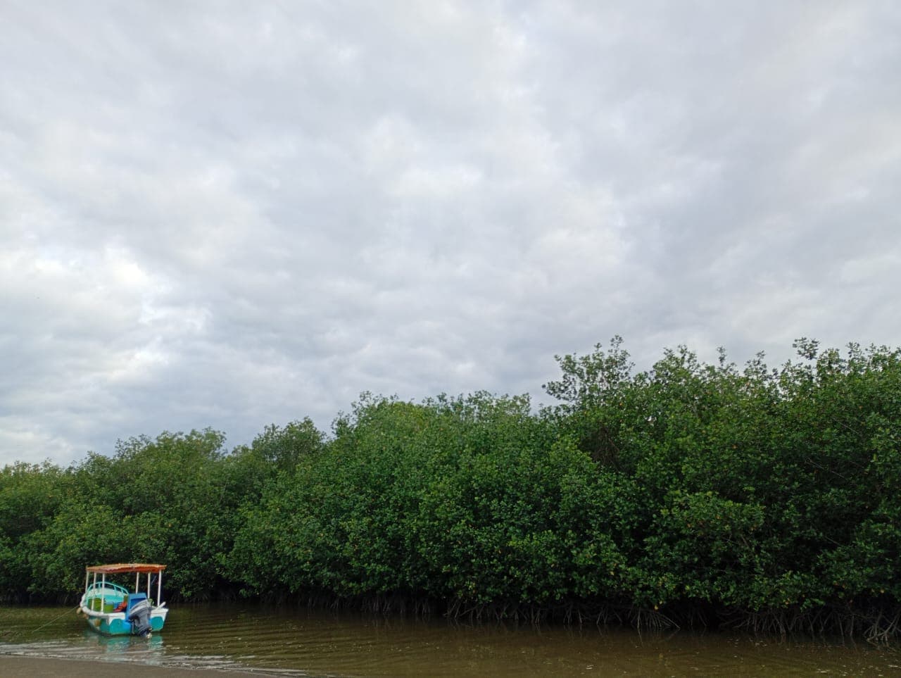 Islas, manglares y cocodrilos - imagen 4