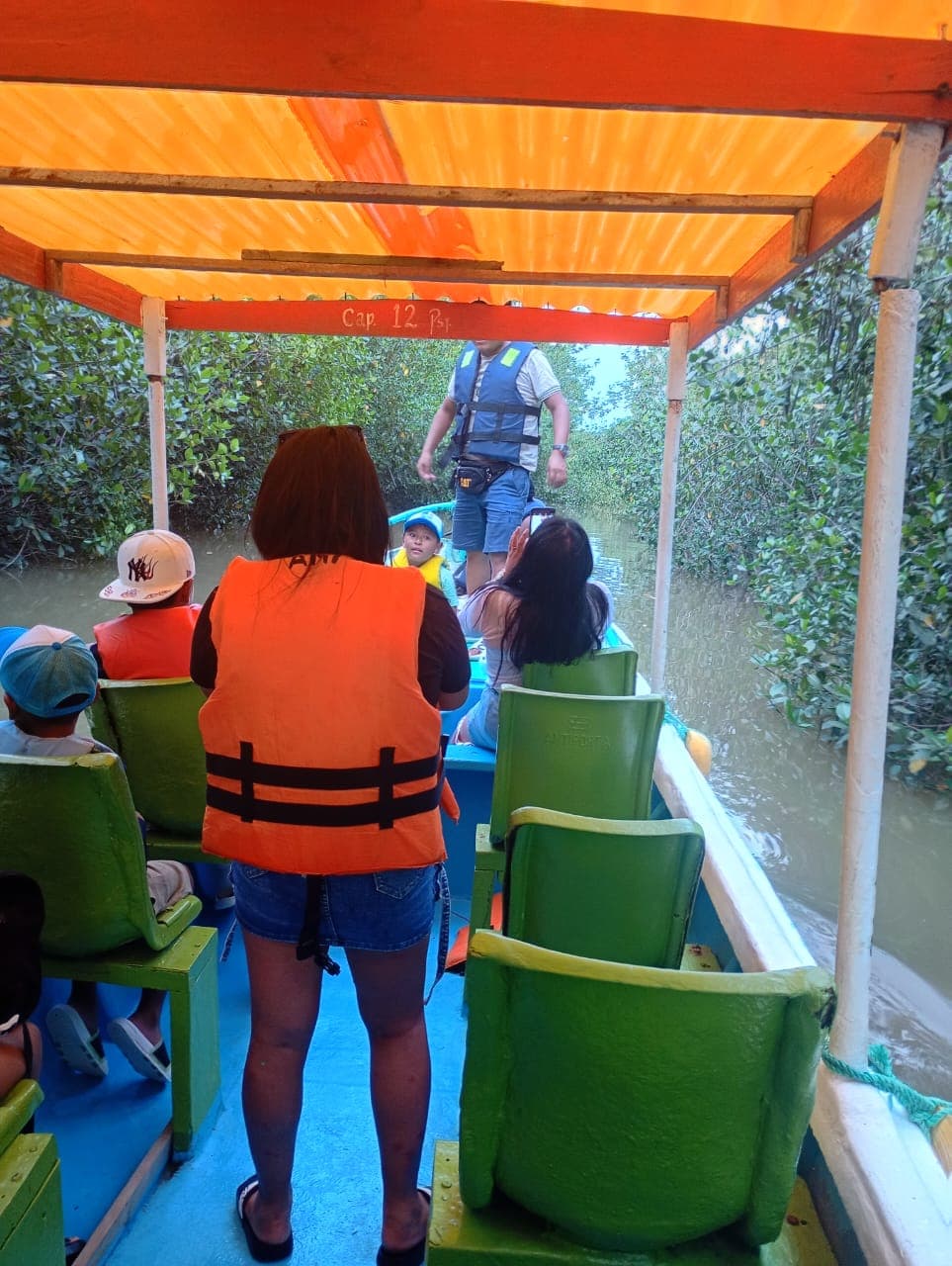 Pajaros y manglares - imagen 2