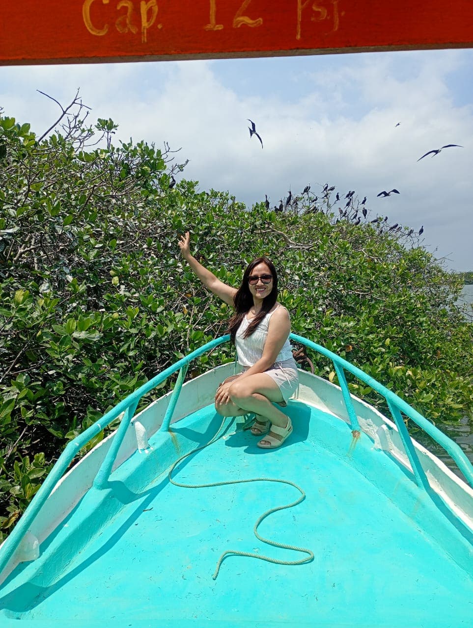 Pajaros y manglares - imagen 4