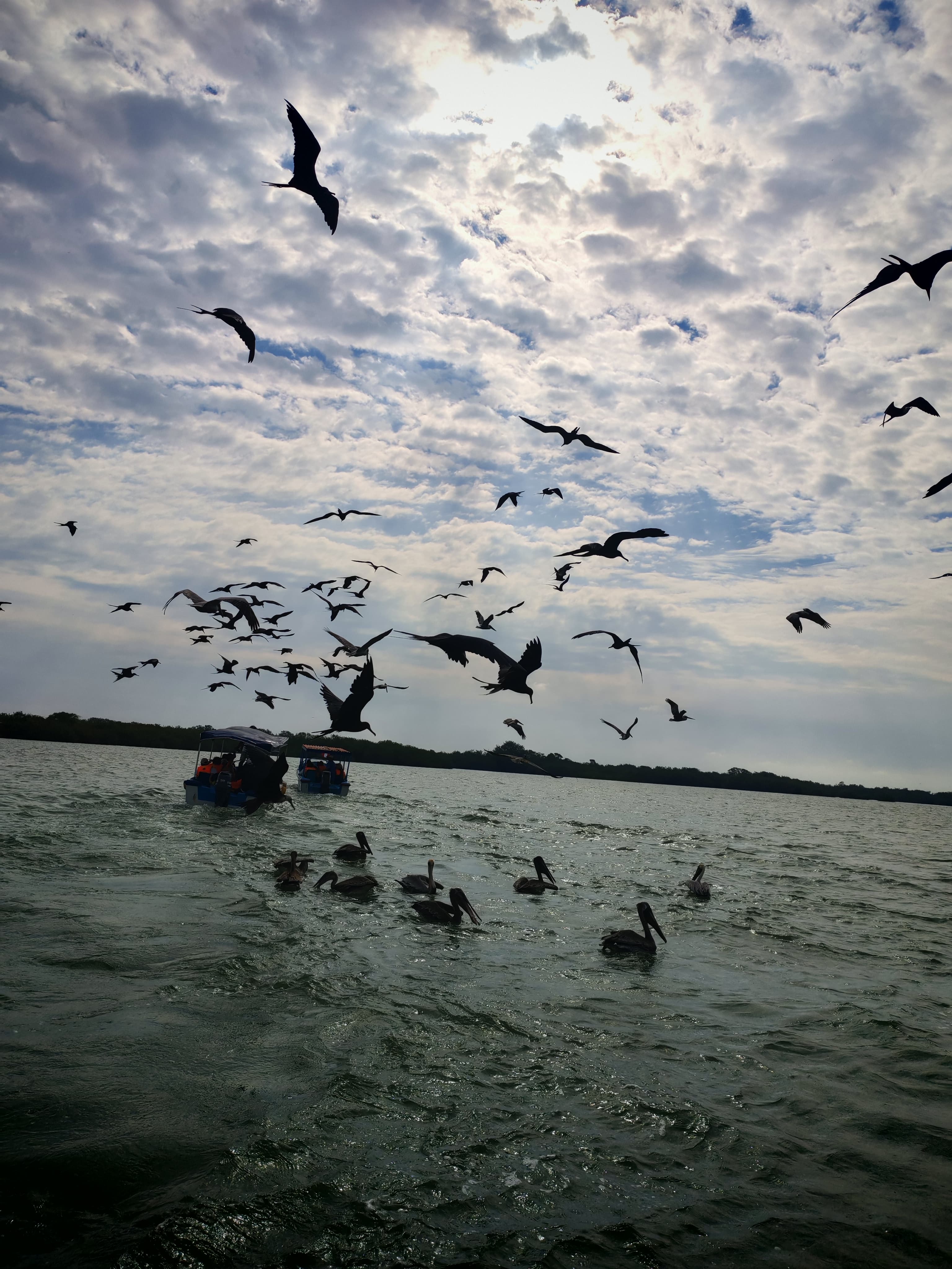 Solo visita a la isla - imagen 4