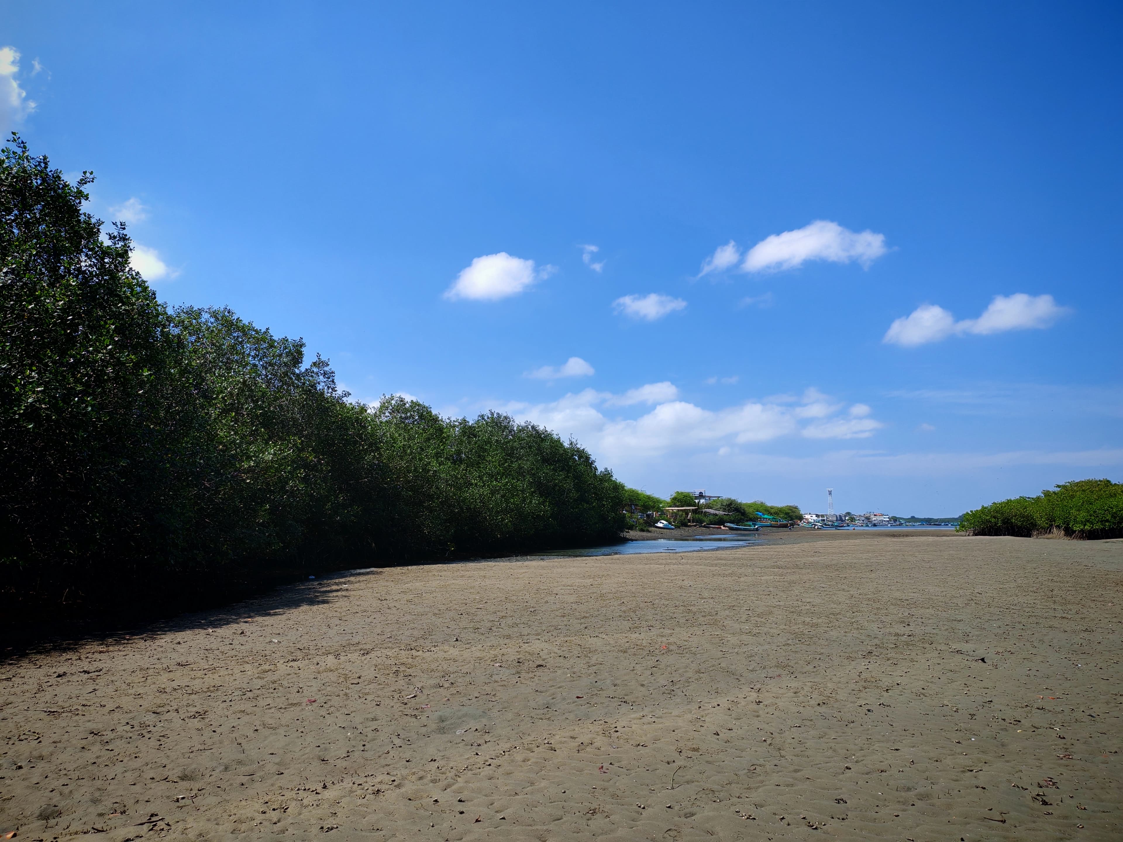 Paseo en bote por los manglares de Puerto Pizarro en Tumbes