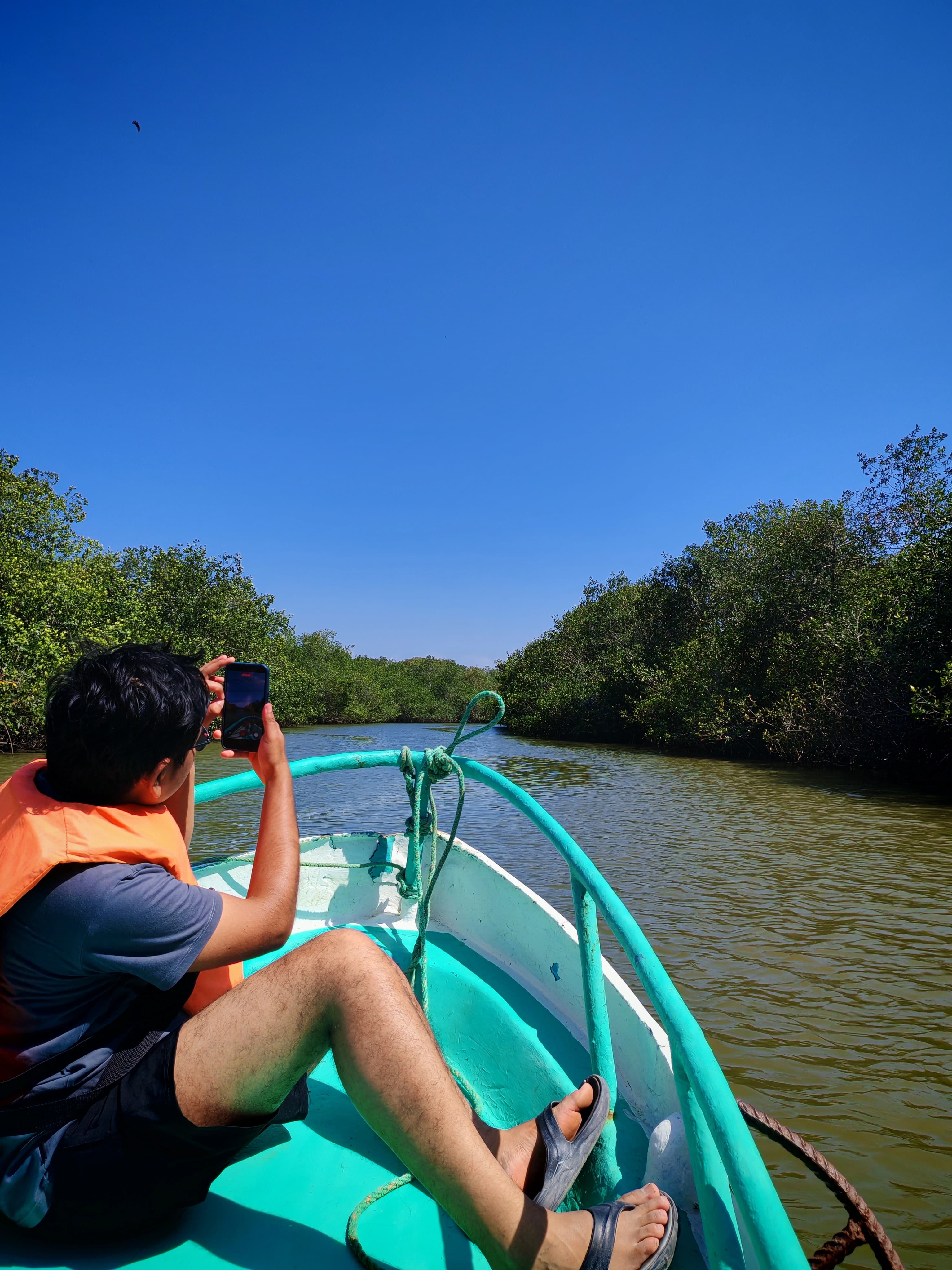 Islas, manglares y cocodrilos
