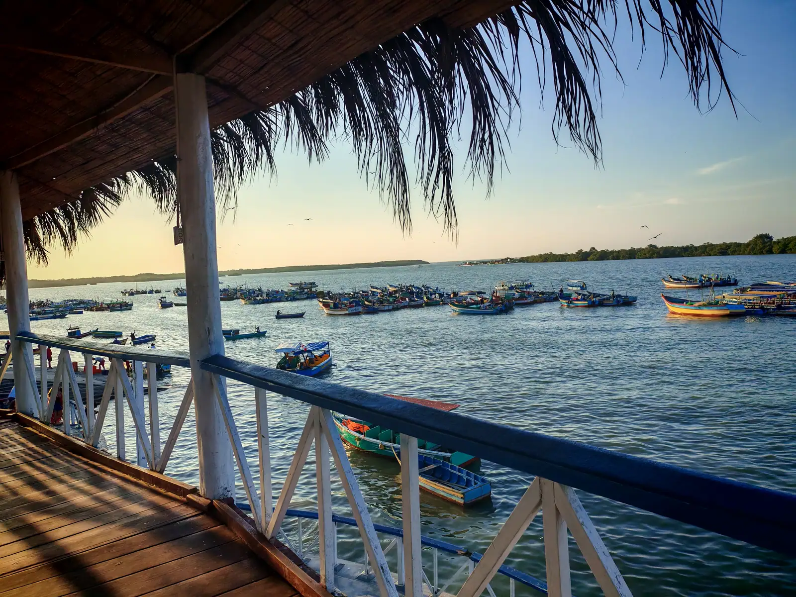 Puerto Pizarro completo - imagen 4