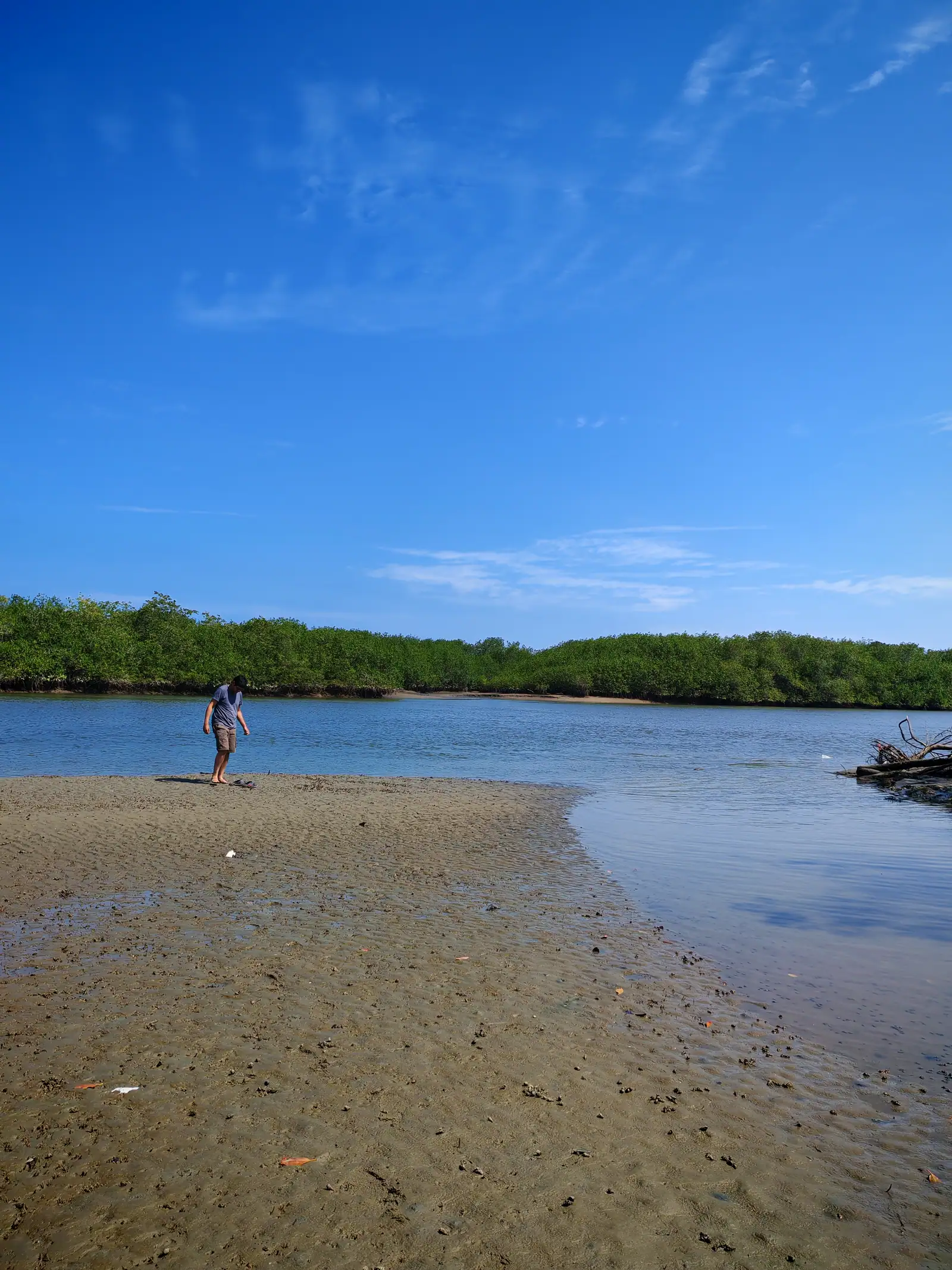Tour completo por manglares e islas en Puerto Pizarro