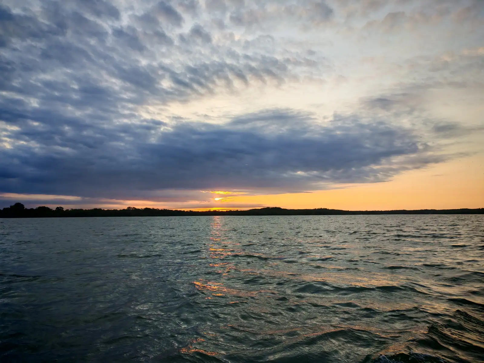Paseo en bote por los manglares de Puerto Pizarro en Tumbes