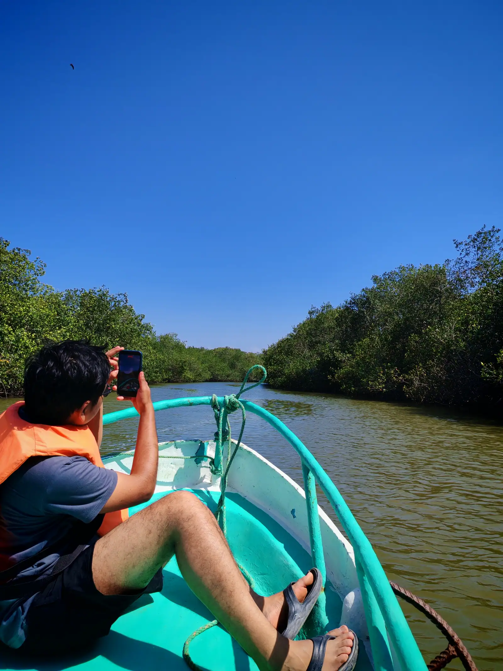 Islas, manglares y cocodrilos