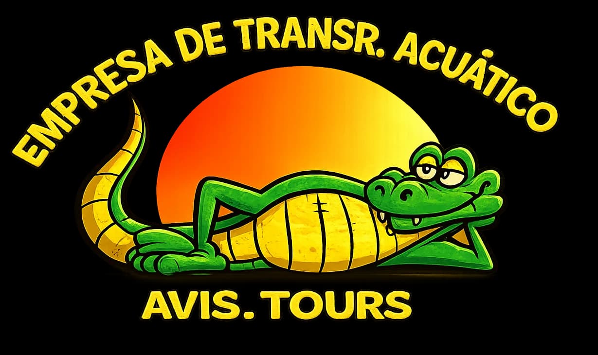 Logo AviTours