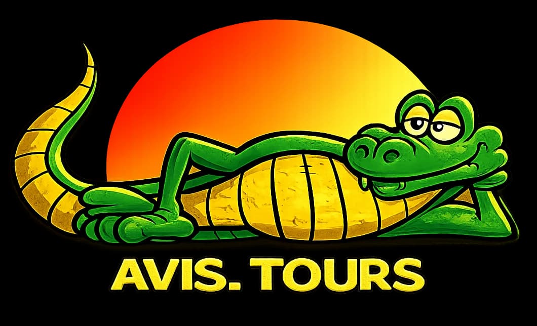 Logo AviTours